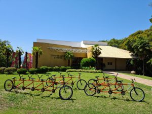 A bicicletas Tandem foram restauradas e serão utilizadas em eventos como o do próximo domingo no Parque de Bom Princípio - Crédito: Prefeitura